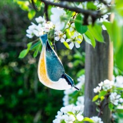 Glasfugl Sptmejse (11 x 4 cm)