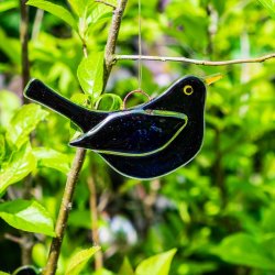 Glasfugl Solsort, han (10,5 x 4 cm)